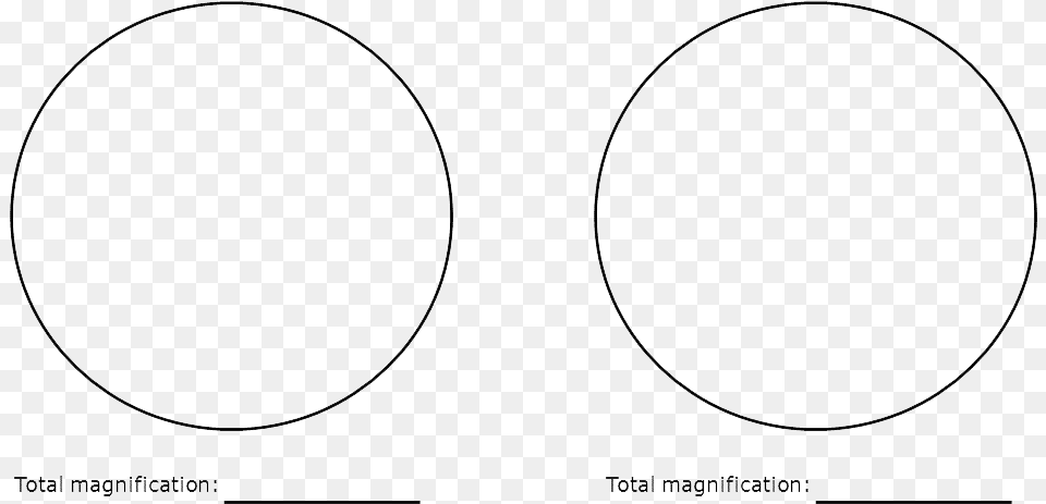 Two Circles Circle, Oval Free Png Download