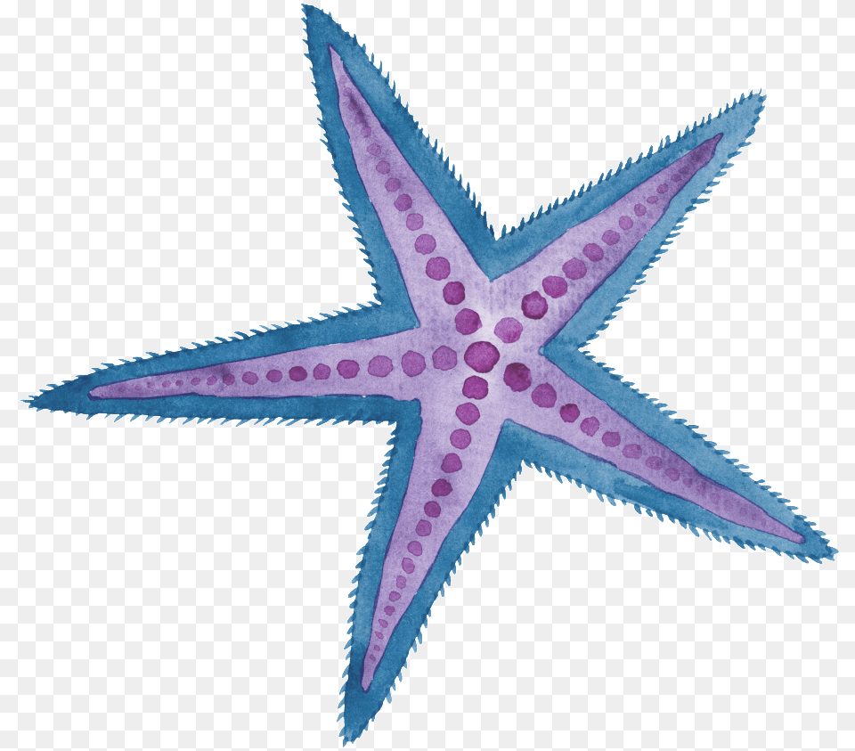 Two Color Hand Painted Starfish Cartoon Watercolor Purple Watercolor Star Fish, Animal, Sea Life, Invertebrate, Blade Free Transparent Png