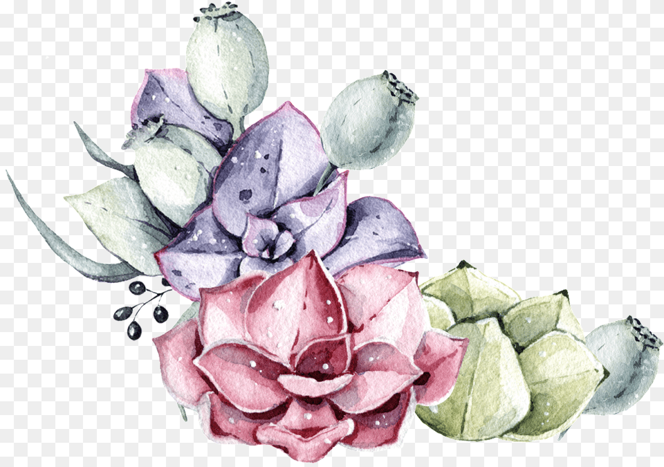 Two Color Succulent Plant Watercolor Hand Painted Flower Bouquet, Flower Arrangement, Flower, Petal Free Transparent Png