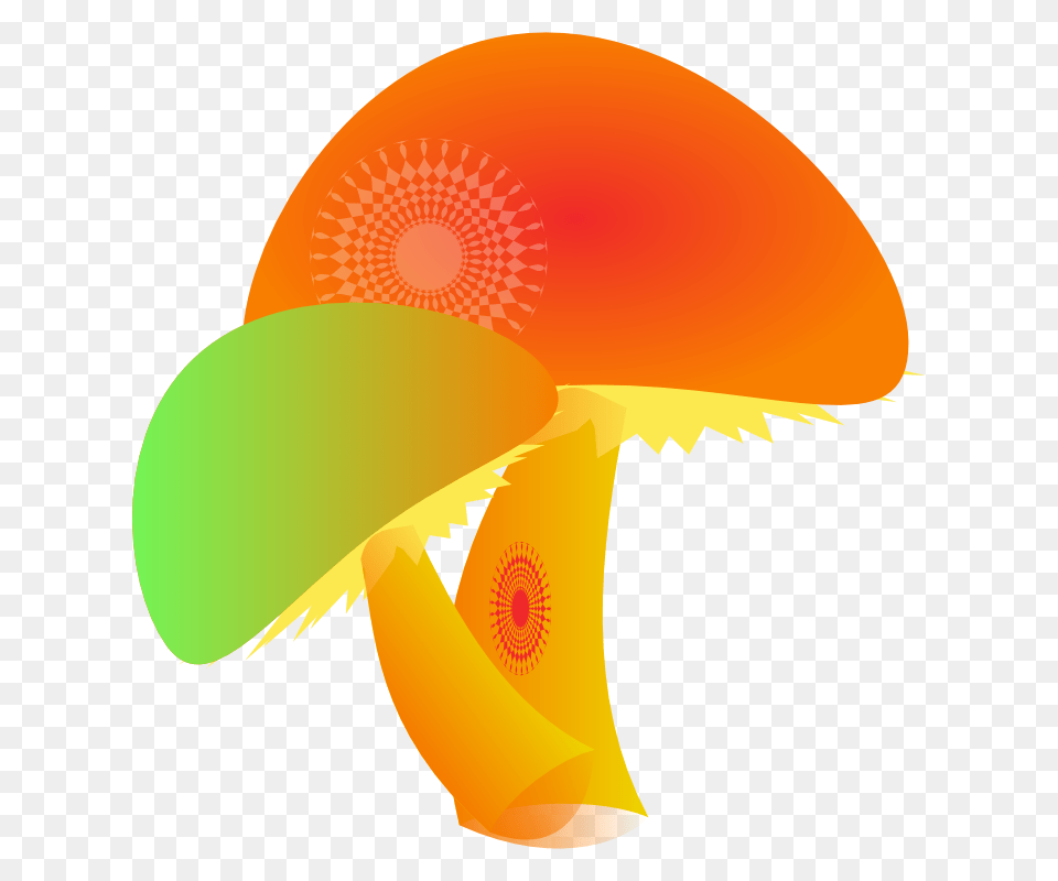 Two Colorful Mushrooms Clip Art Image, Food, Fruit, Plant, Produce Free Png