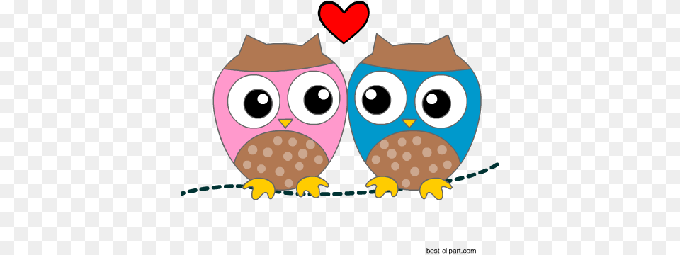 Two Cute Owls Free Clip Art For Valentines Day, Food, Nut, Plant, Produce Png Image