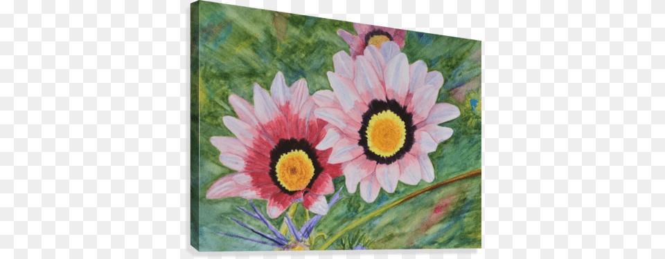Two Daisies Canvas Print Gazania, Flower, Plant, Daisy, Art Free Png Download