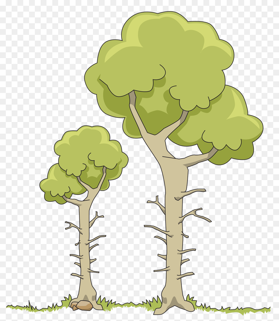 Two Dead Trees Icons, Plant, Tree, Art, Drawing Free Png