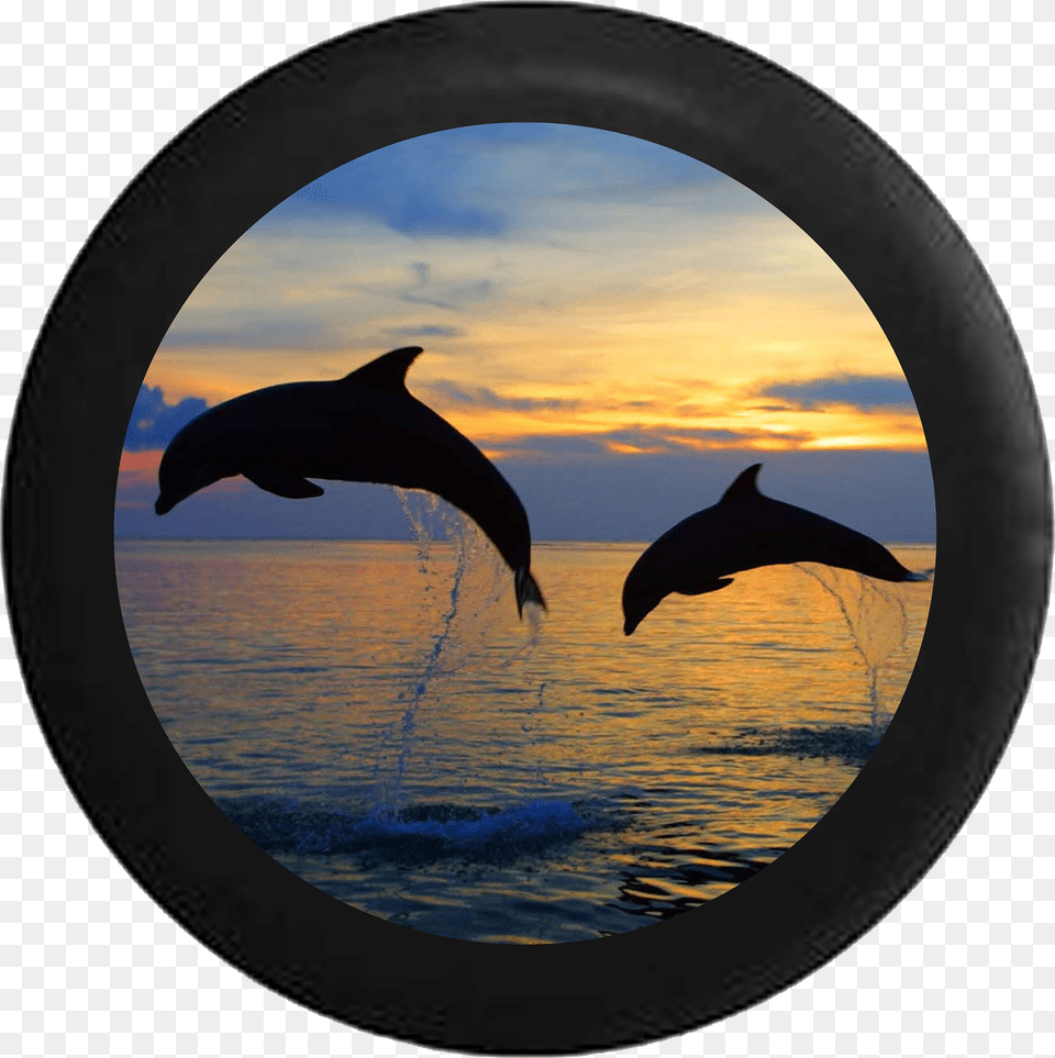 Two Dolphins Jumping Sunset Sunrise Behind Sky Rv Camper Beach With Dolphins, Photography, Animal, Dolphin, Mammal Png