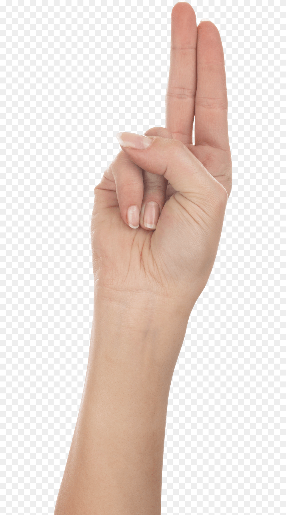 Two Finger Hand, Body Part, Person, Wrist, Adult Png