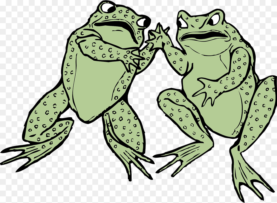 Two Frogs Clipart, Amphibian, Wildlife, Frog, Animal Free Png Download