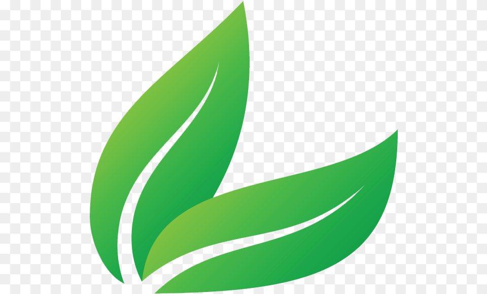 Two Green Leaves, Leaf, Plant, Herbal, Herbs Png