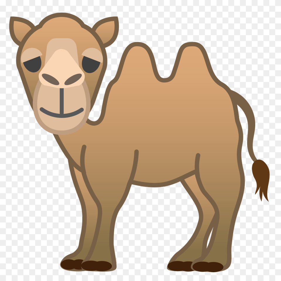 Two Hump Camel Icon Noto Emoji Animals Nature Iconset Google, Animal, Mammal, Kangaroo Png