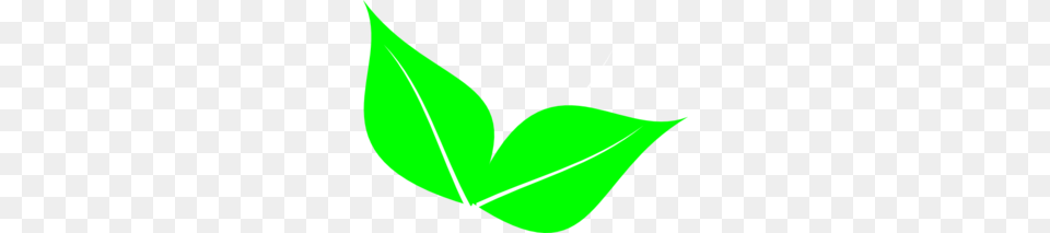Two Leaves Clip Art, Green, Leaf, Plant Png