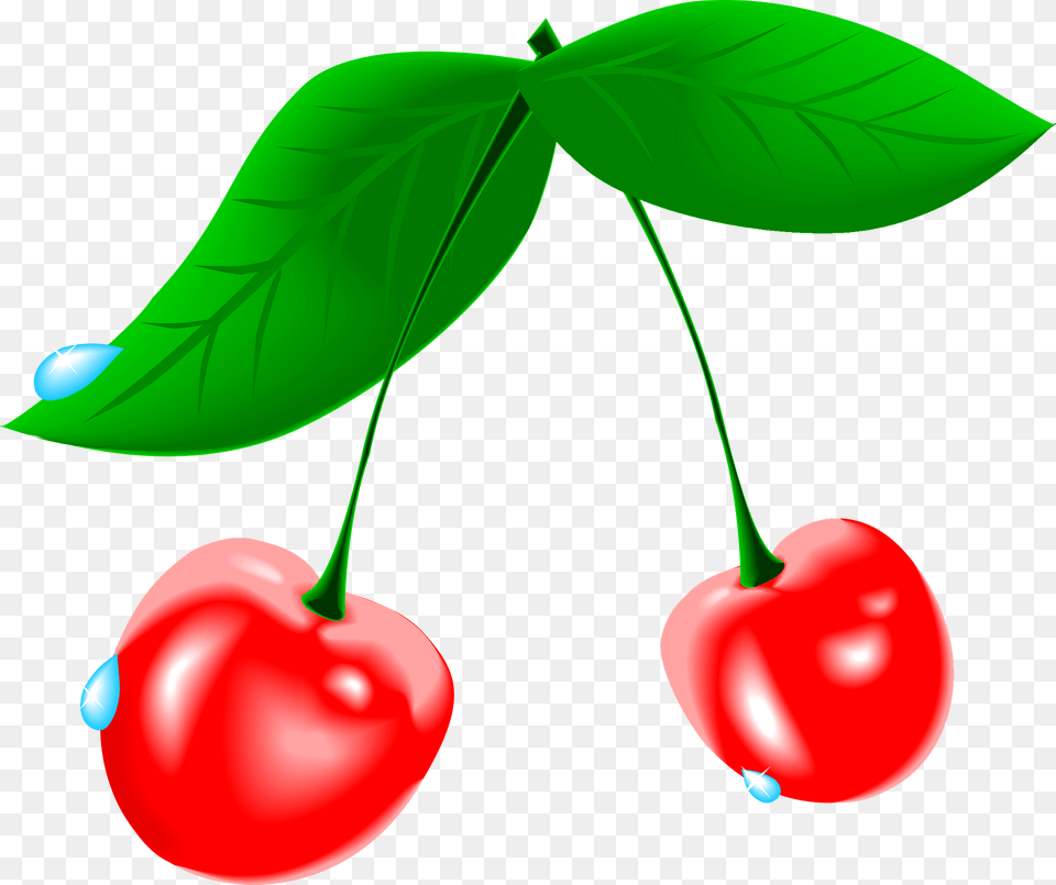 Two Long Stem Cherries Clipart, Cherry, Food, Fruit, Plant Png