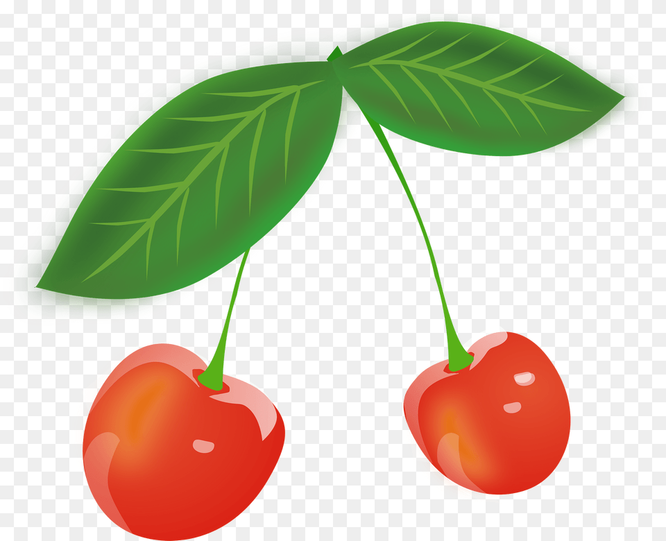 Two Long Stem Cherries Clipart, Cherry, Food, Fruit, Plant Free Png