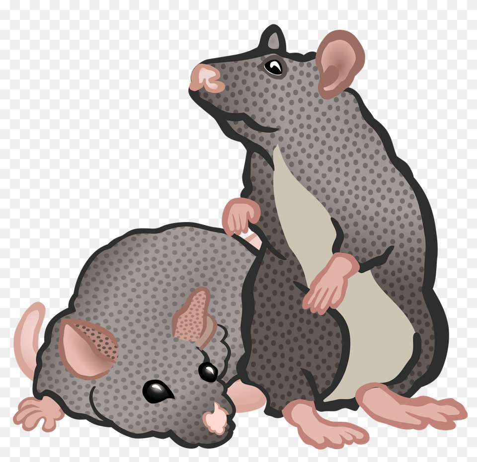 Two Mice In Color Clipart, Animal, Mammal, Rodent, Rat Png Image