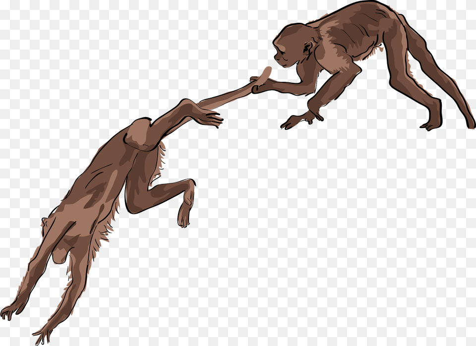 Two Monkeys Playing Clipart, Person, Animal, Dinosaur, Reptile Png Image