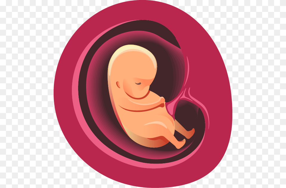 Two Months Illustration, Baby, Person Free Png Download