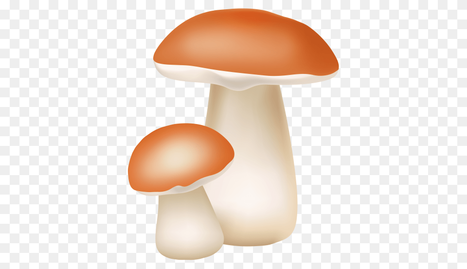 Two Mushrooms Cliaprt, Fungus, Mushroom, Plant, Agaric Png