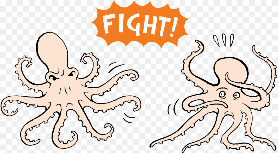 Two Octopus Fighting Over Food, Animal, Sea Life, Person, Invertebrate Free Png Download