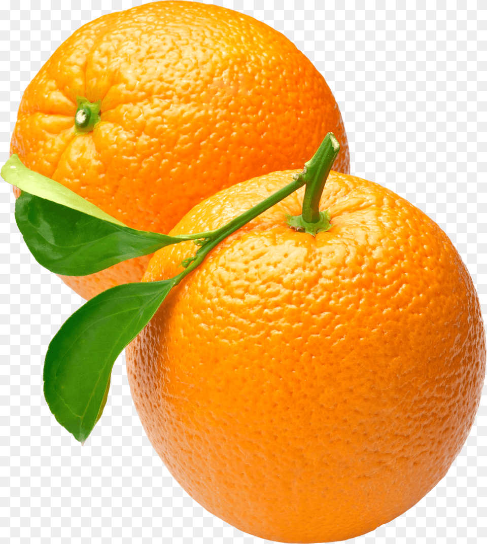 Two Oranges, Citrus Fruit, Food, Fruit, Orange Free Transparent Png