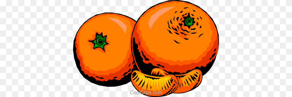 Two Oranges Royalty Vector Clip Art Illustration, Citrus Fruit, Food, Fruit, Orange Free Png