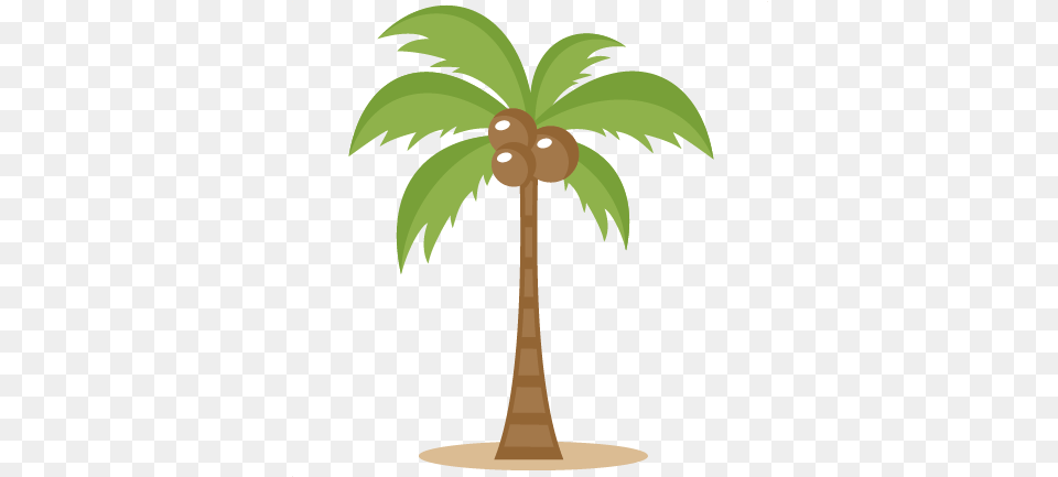Two Palm Trees Clipart Image Coconut Tree Clipart Palm Tree, Plant, Food, Fruit Free Transparent Png