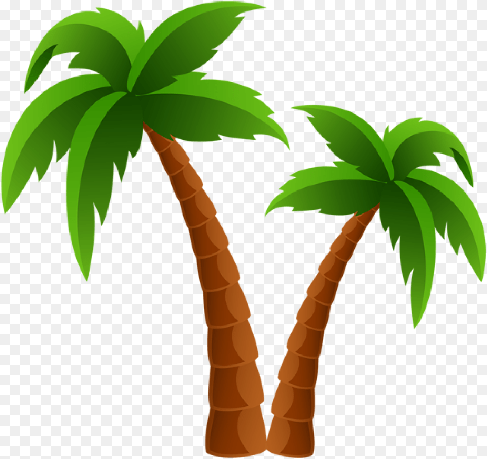 Two Palm Trees Clipart Image Palm Tree Clipart, Palm Tree, Plant Free Transparent Png