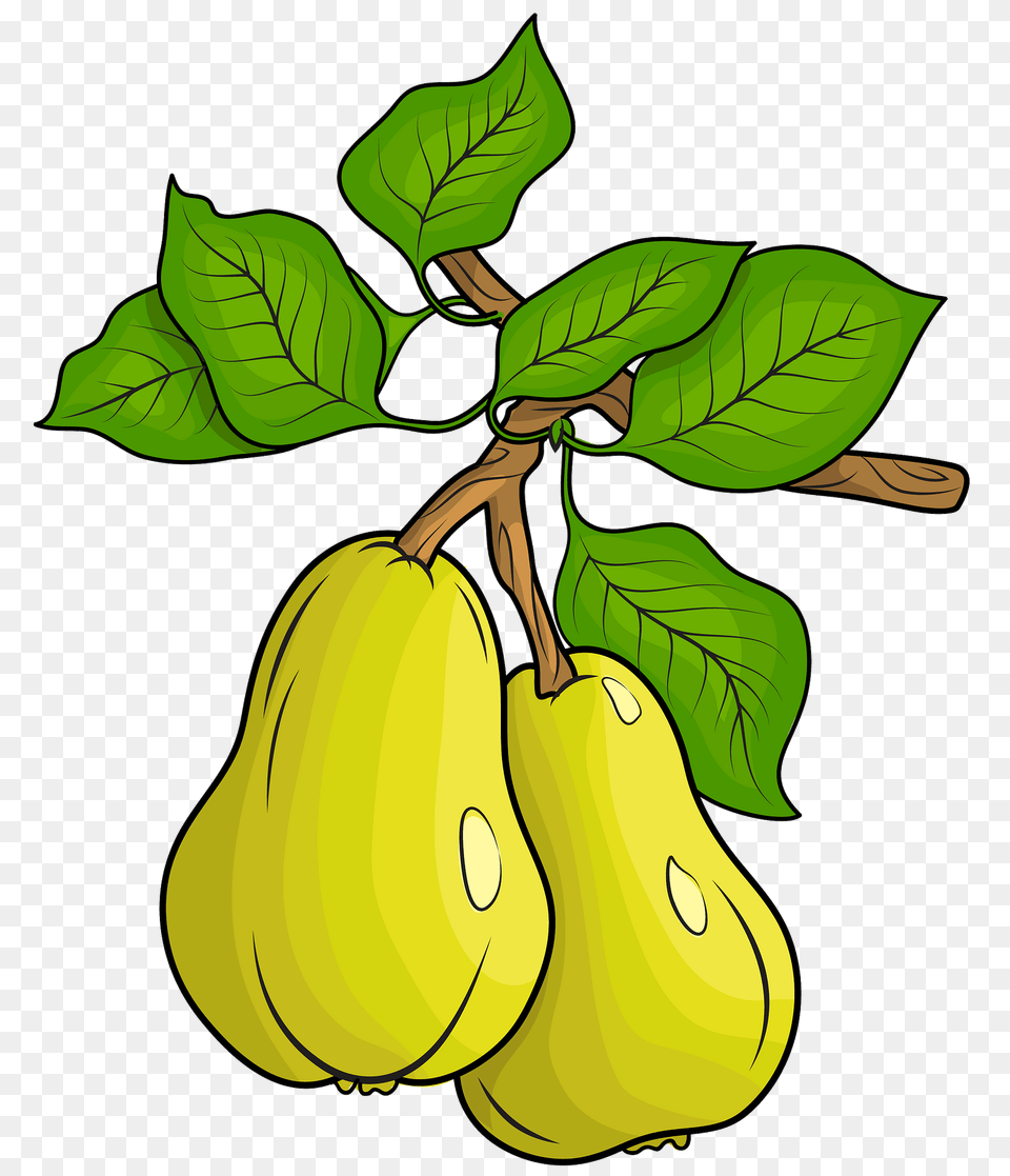 Two Pears Clipart, Food, Fruit, Plant, Produce Free Transparent Png