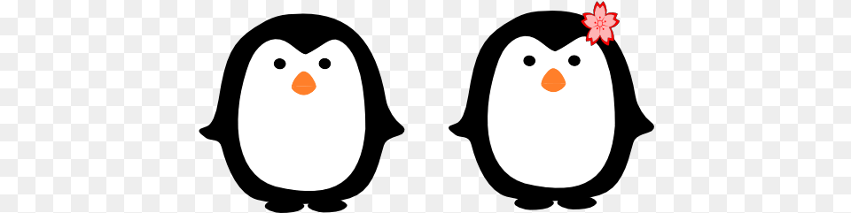 Two Penguins Clip Art At Vector Clip Art Penguin Cups, Animal, Beak, Bird, Outdoors Free Png