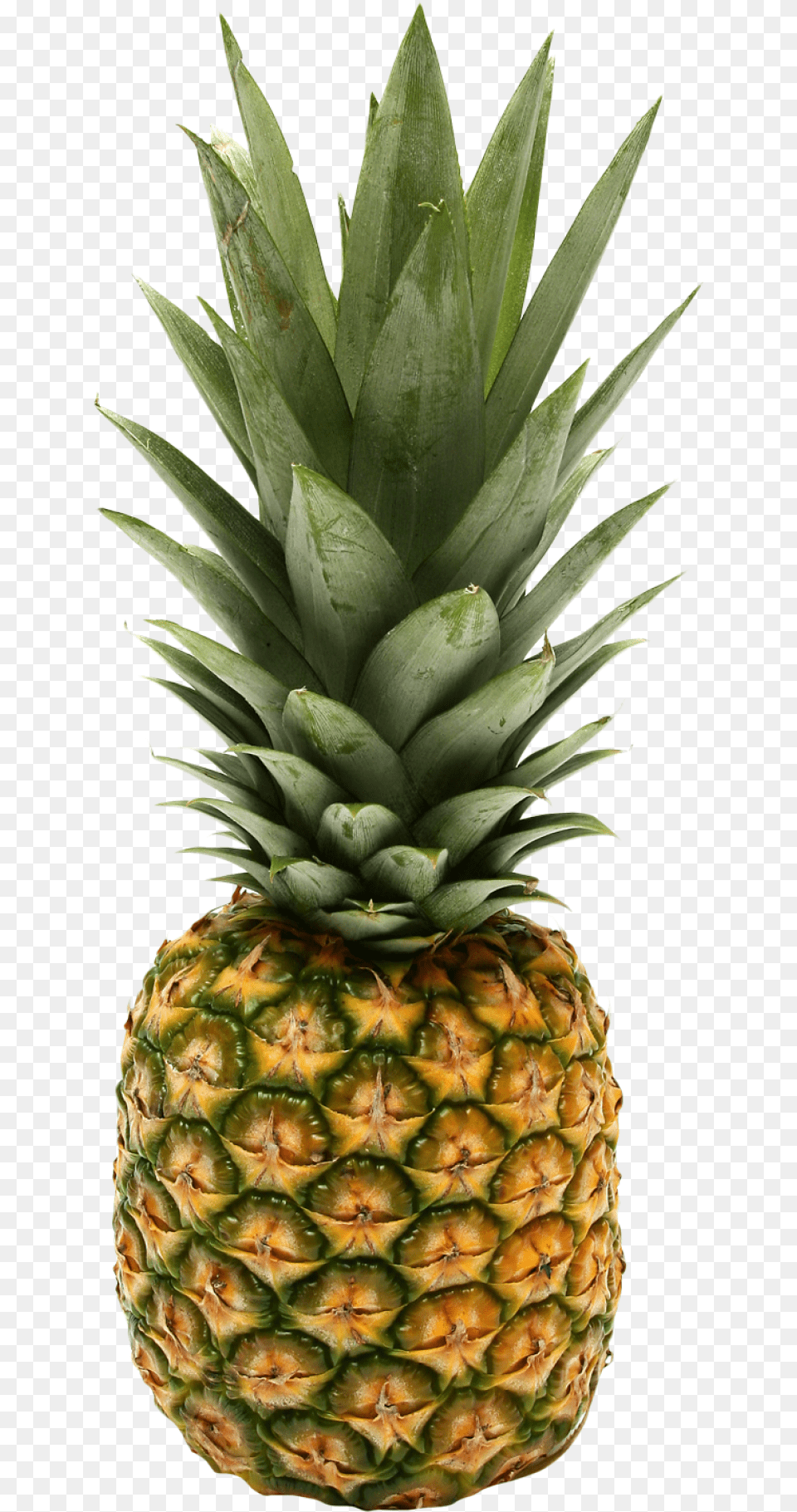 Two Pineapple Purepng Free Transparent Cc0 Rick And Morty Fruit, Food, Plant, Produce Png Image