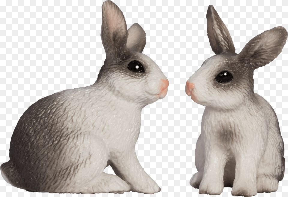 Two Rabbits Rabbit Png Image