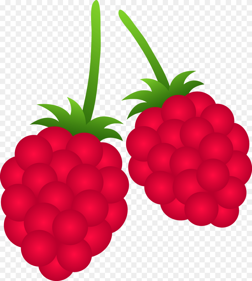 Two Raspberries, Berry, Food, Fruit, Plant Free Png