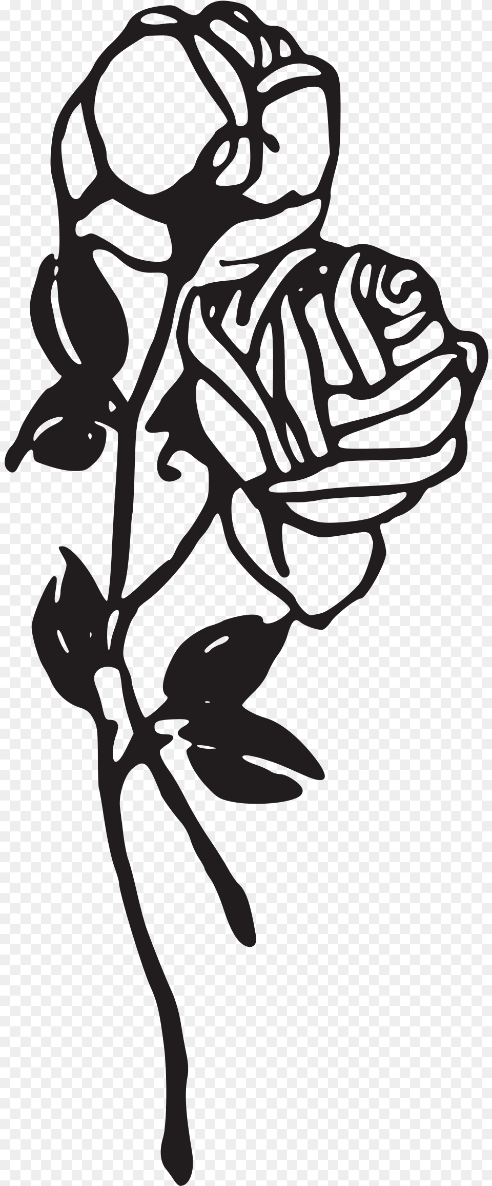 Two Roses Clip Arts Rose Clipart Black And White, Stencil, Art, Person, Flower Free Png