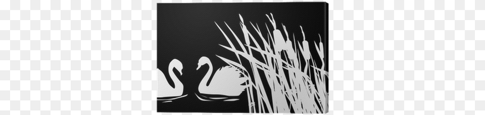 Two Swan Silhouettes On Black Background Canvas Print Silhouette, Blackboard, Animal, Bird Png