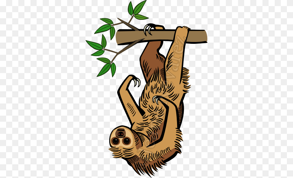 Two Toed Sloth Illustration, Animal, Mammal, Wildlife, Three-toed Sloth Free Png Download