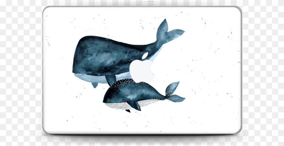 Two Whales Skin Macbook Air 11 Whales, Animal, Whale, Sea Life, Mammal Free Transparent Png