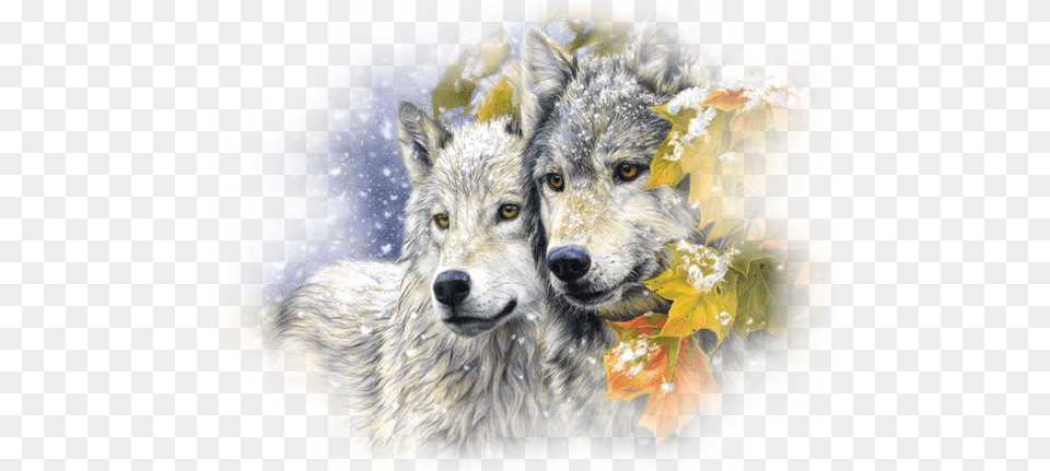 Two Wolves In Snow Blxecky 5d Diy Diamond Painting By Number, Leaf, Plant, Animal, Mammal Free Transparent Png
