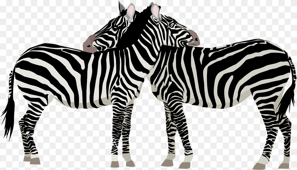 Two Zebras Clipart, Animal, Mammal, Wildlife, Zebra Free Png Download