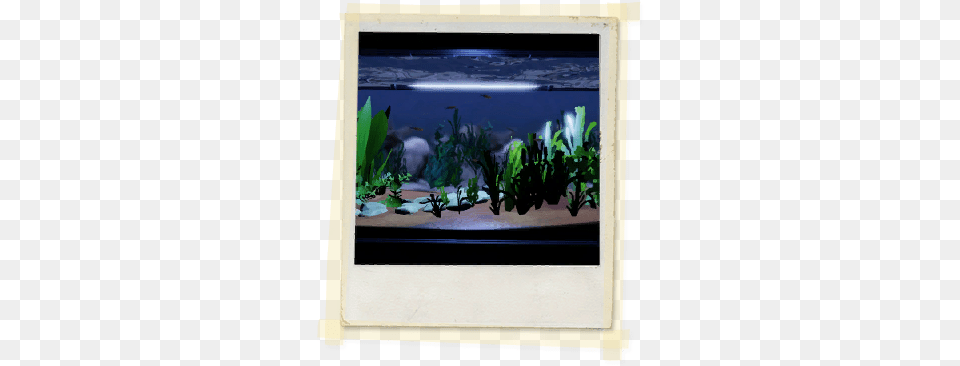 Tx E3 2a Sciclass Aquarium Unlocked Texas, Art, Painting, Aquatic, Water Free Transparent Png