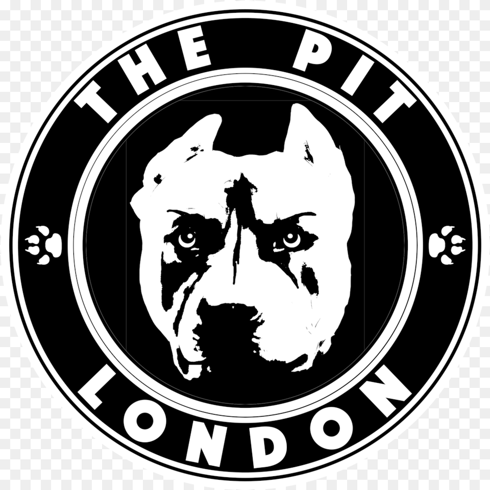 Tycho Jones Pseudo Video U2014 The Pit London Automotive Decal, Logo, Animal, Cat, Mammal Png