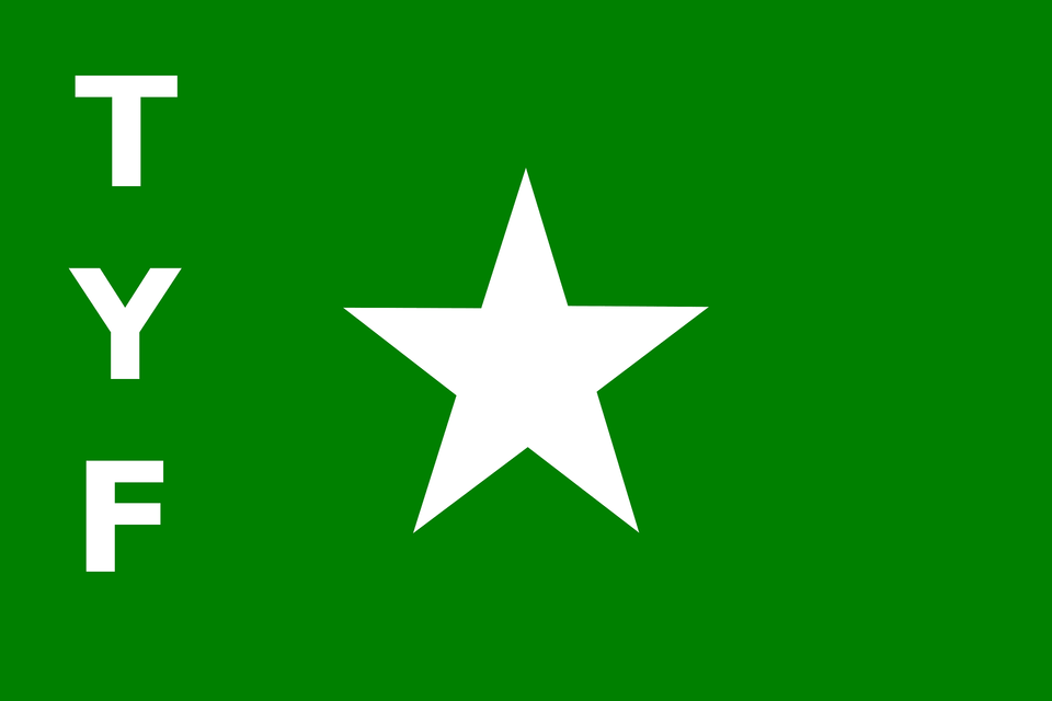 Tyf Flag Clipart, Star Symbol, Symbol, Green, First Aid Png Image