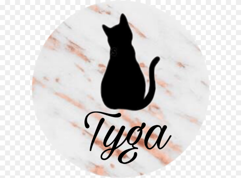 Tyga Black Cat, Animal, Mammal, Pet, Black Cat Free Png Download