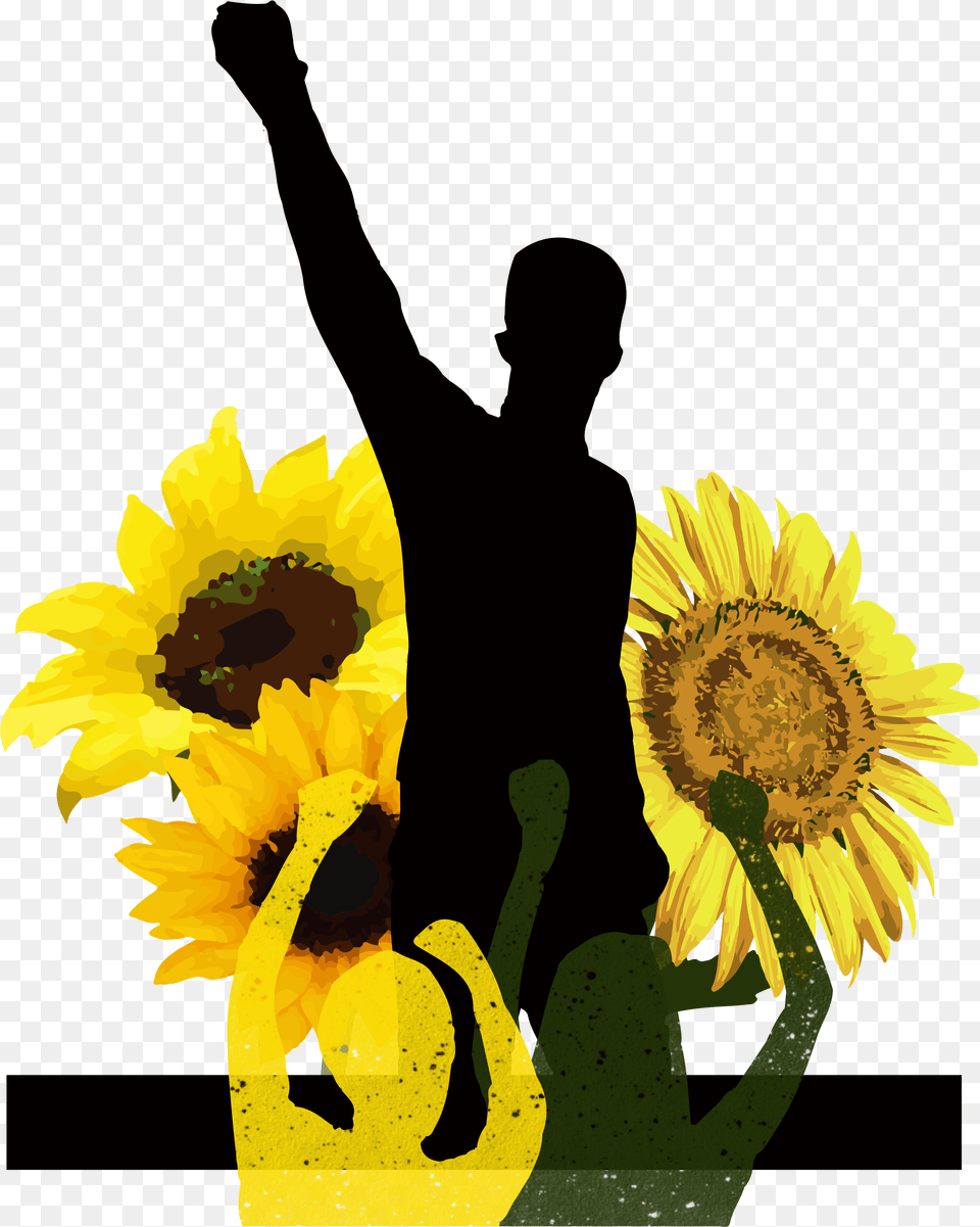 Tyler The Creator, Flower, Plant, Sunflower, Person Png