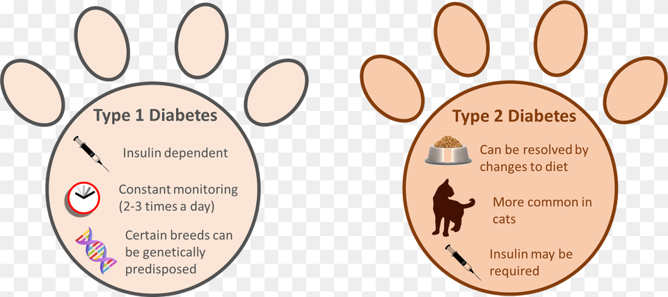 Type 1 Vs Type 2 Diabetes In Pets Diabetes In Pets, Moon, Astronomy, Outdoors, Night Free Png Download