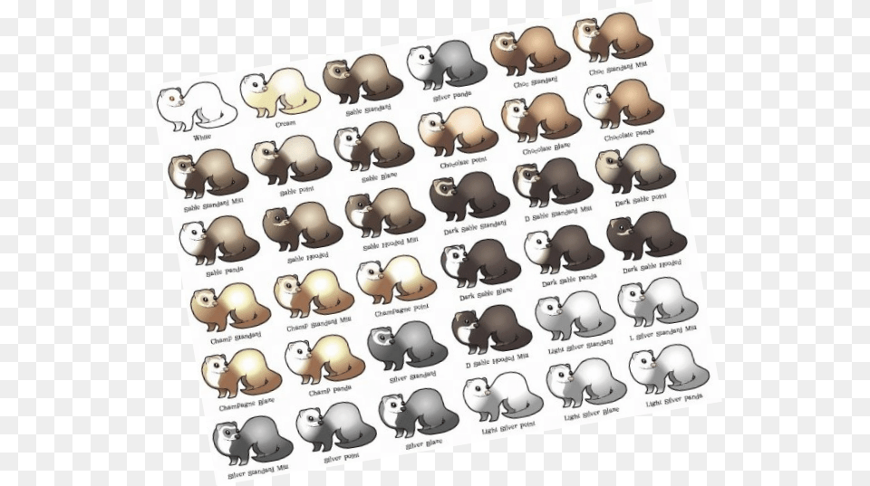 Types Of Ferrets, Animal, Buffalo, Mammal, Wildlife Png Image