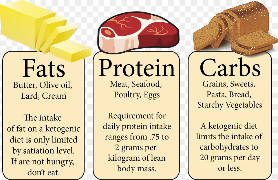 Types Of Food Fat Carbohydrates, Text, Lunch, Meal Free Transparent Png
