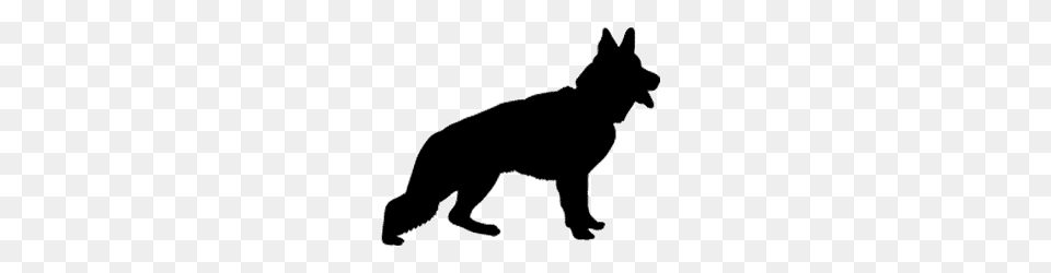 Types Of German Shepherds Show Lines Vs Working Lines Ultimate Gsd, Silhouette, Animal, Canine, Dog Png