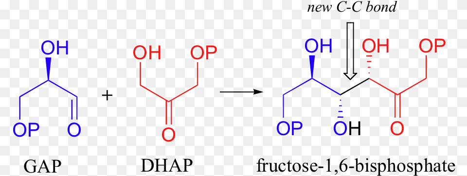 Types Of Isomers Png Image