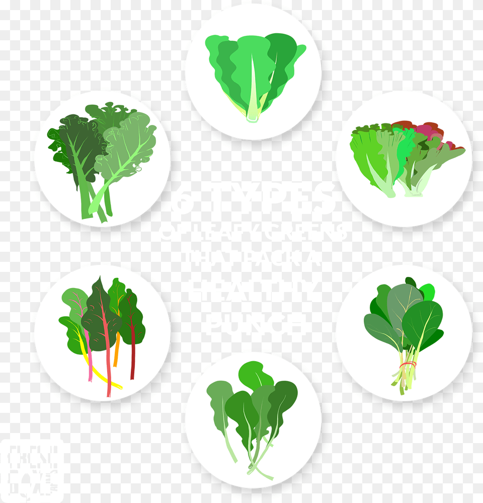 Types Of Leafy Greens That Pack A Types Of Leafy Greens, Food, Produce, Leaf, Plant Free Transparent Png