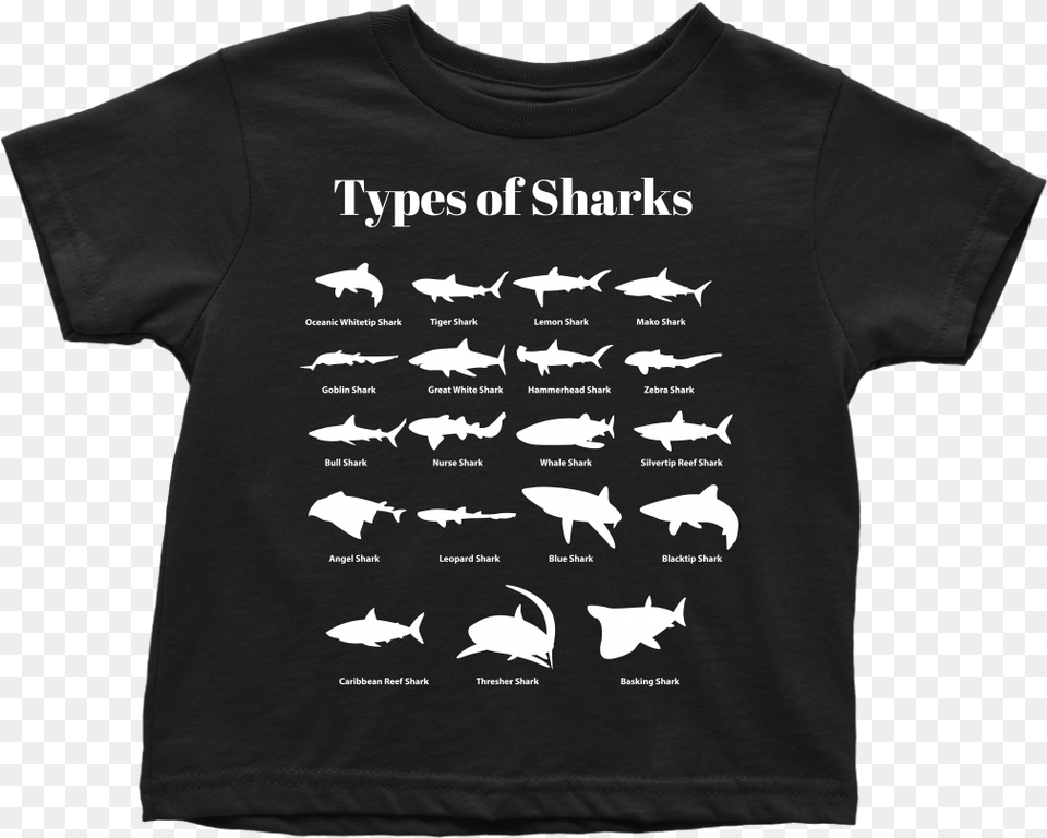 Types Of Sharks Toddler T Shirt Types Of Sharks List, Clothing, T-shirt, Animal, Bird Png Image