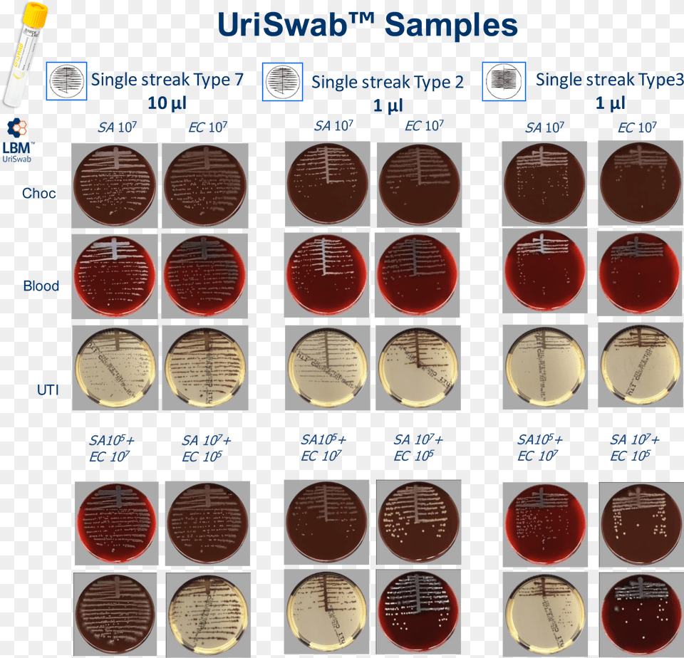 Types Of Streaking Patterns Eye Shadow, Maroon, Wax Seal, Text Png Image