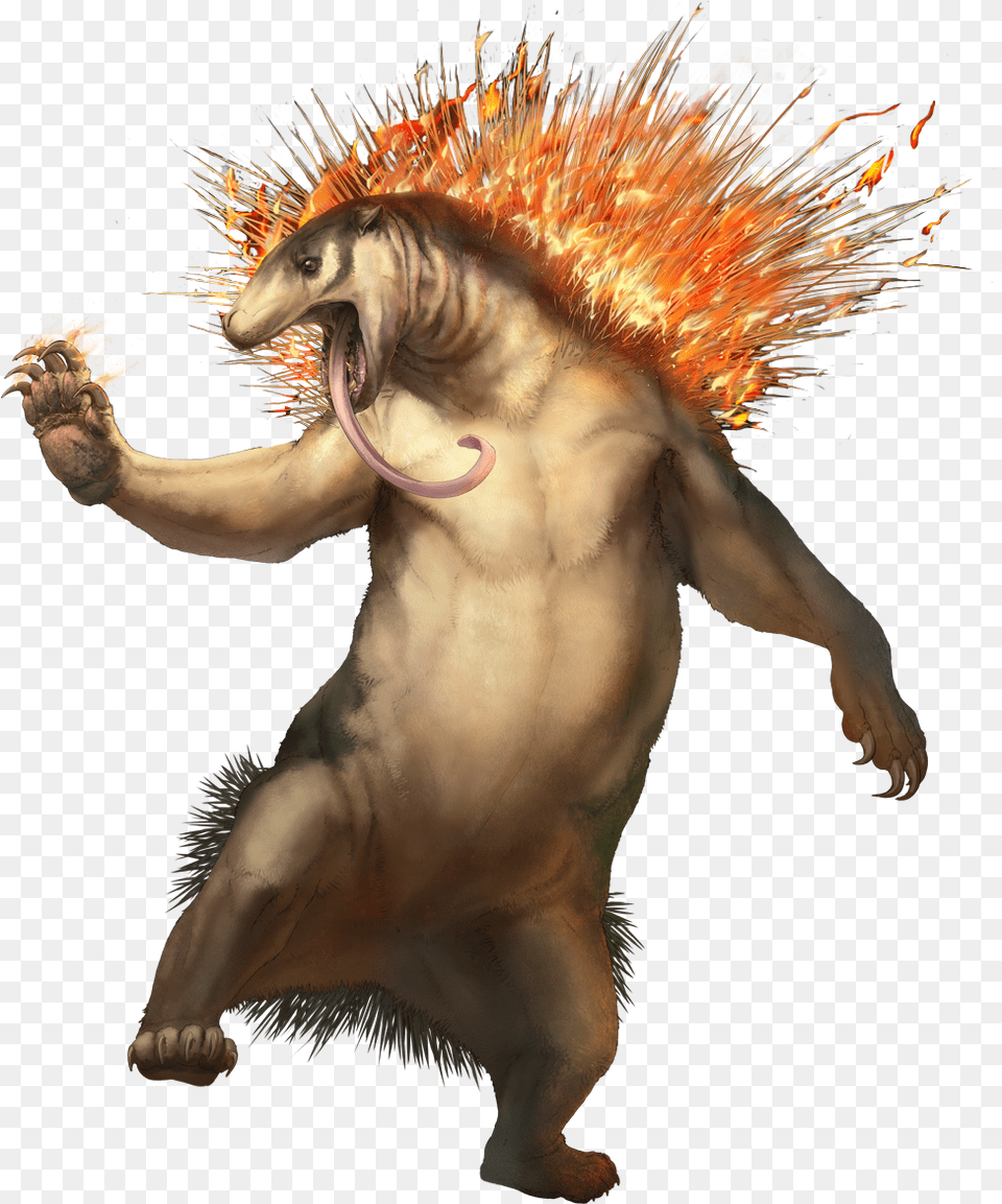 Typhlosion Realistic Pokemon Real Life, Back, Body Part, Person, Adult Free Png Download