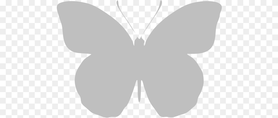 Typical Recto Orange Tip White Butterfly, Stencil Png